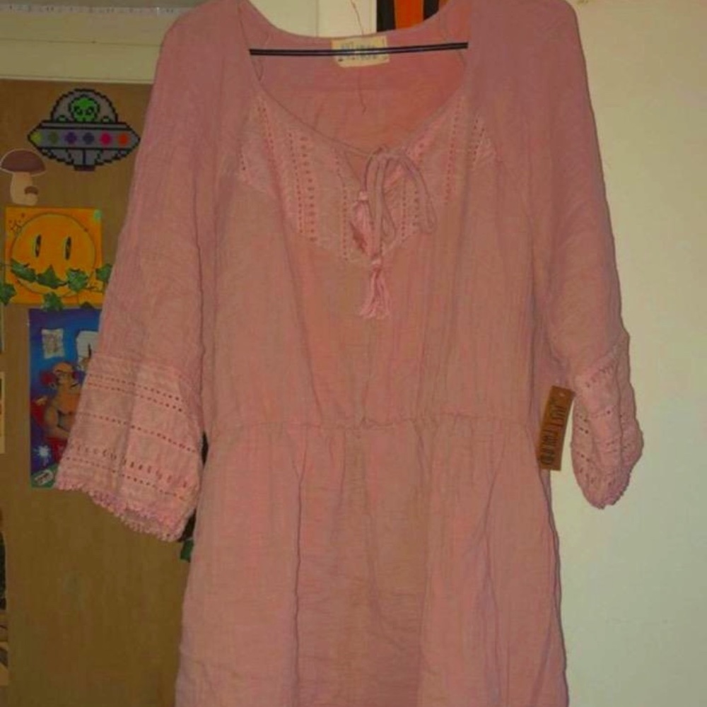 Plus Size Pink Knee Length Dress from ROSS